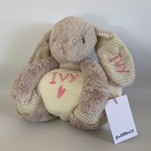 Load image into Gallery viewer, Bunny Rabbit and Blanket Baby Gift - Personalised Embroidered